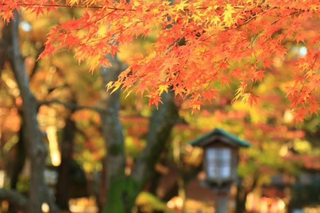 Kanazawa Machiya Inn Hana Εξωτερικό φωτογραφία